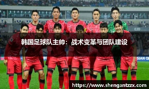 韩国足球队主帅：战术变革与团队建设