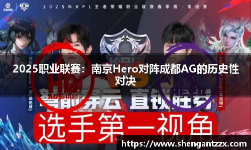 2025职业联赛：南京Hero对阵成都AG的历史性对决