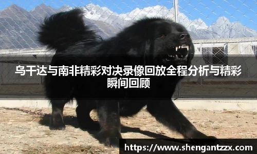 zoty中欧体育官网